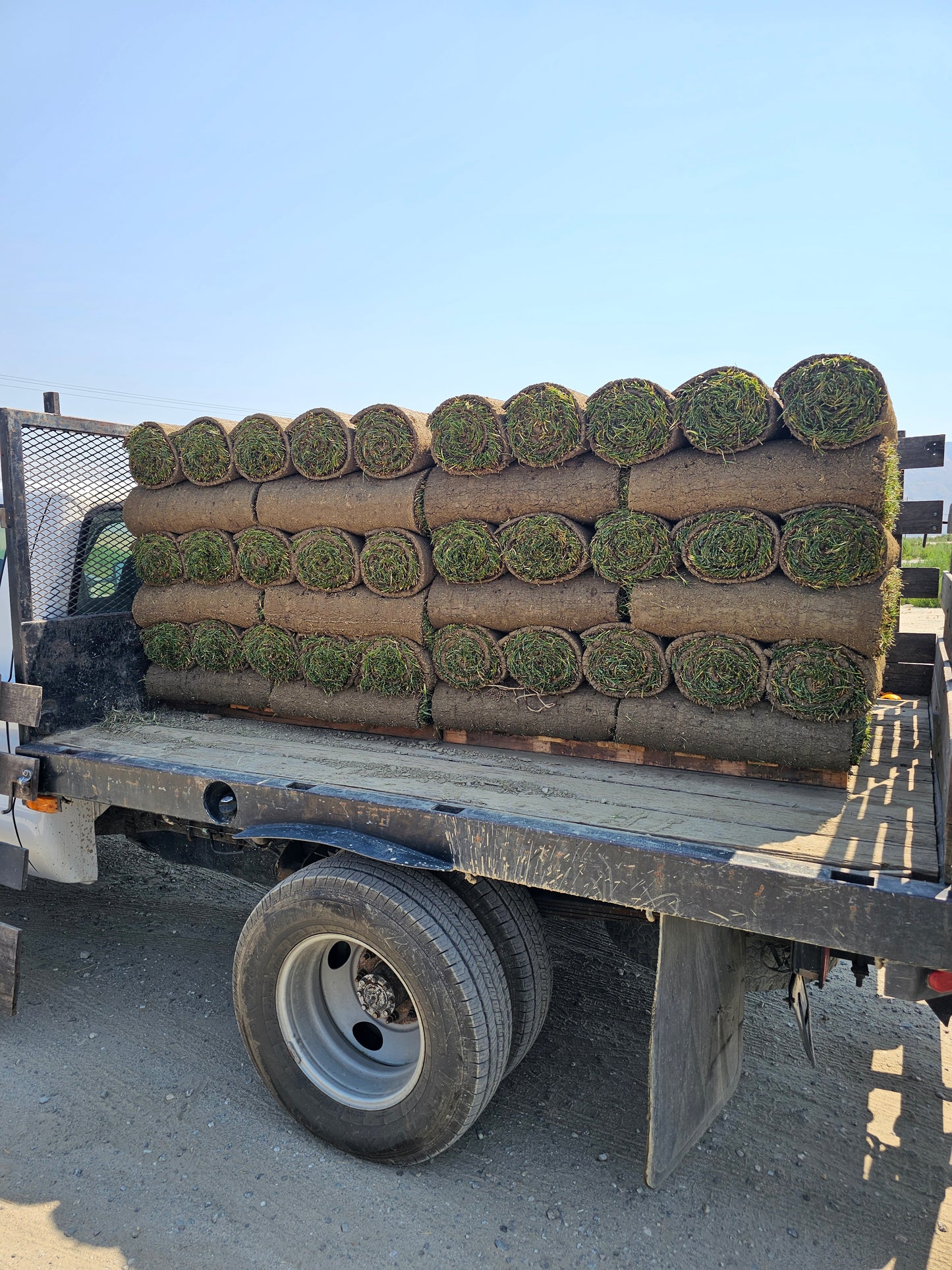 Sod Full Pallet 500 sqft